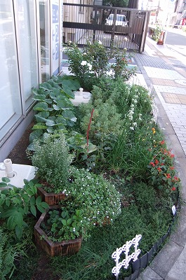 DSCF3102.jpg