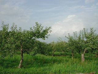 DSCN7590.jpg