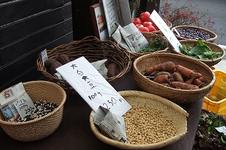 2008_1108yudo0011.jpg