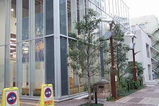 2008_1108yudo0014.jpg
