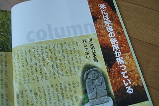 2008_1118chie20005.jpg