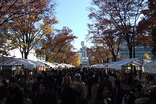 2008_1123asaichi0003.jpg