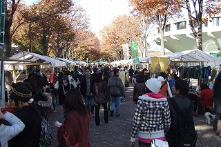 2008_1123asaichi0004.jpg