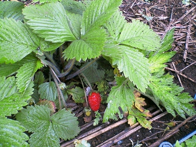 200905071238000.jpg