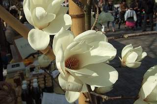 2009_0321asaichi0036.jpg