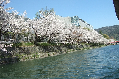 2009_0410kyoto0088.jpg