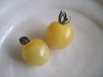 2009_0803katashina0018.jpg