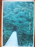 2009_0830nyan0008.jpg
