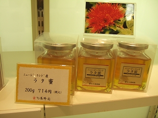 2009_1030matuyama0042.jpg
