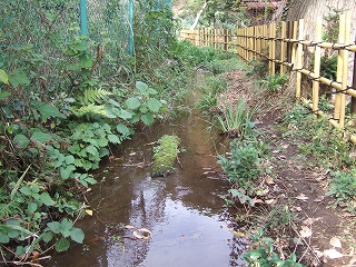 2009_1116kokubunji0004.jpg