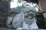 DSCF0020.jpg