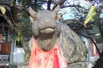 DSCF0021.jpg