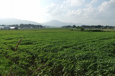 DSCF2333.jpg