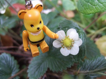 DSCF5154.jpg