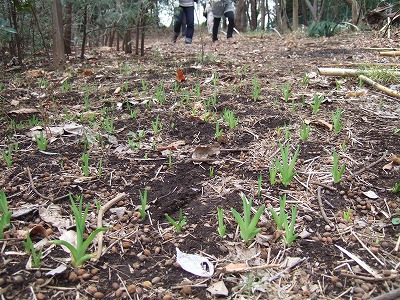 DSCF5221.jpg