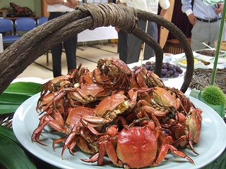 DSCF9234.jpg