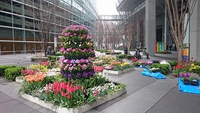 DSC_0273.jpg