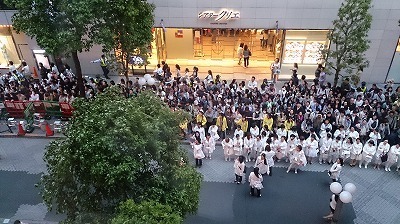 DSC_3599.jpg