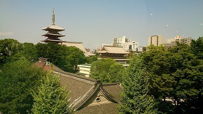 DSC_4175.jpg