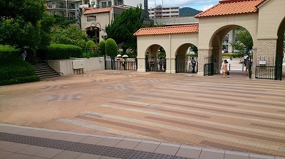 DSC_4214.jpg