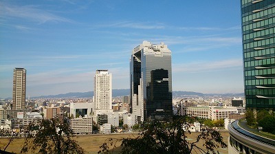 DSC_4737.jpg