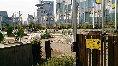DSC_4740.jpg