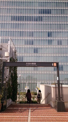 DSC_4746.jpg