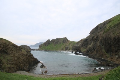 IMG_0458.jpg