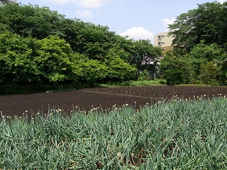 RIMG0007.jpg