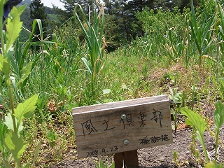RIMG0034.jpg