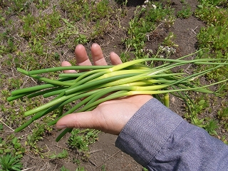 RIMG0036.jpg
