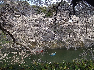 e-2008_0331chidori0014.jpg
