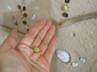 e-2008_0520slow0024.jpg