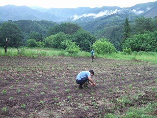 e-2008_0624katashina0032.jpg