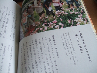 e-2008_0710hatake0014.jpg