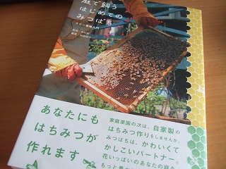 e-2008_0710hatake0015.jpg