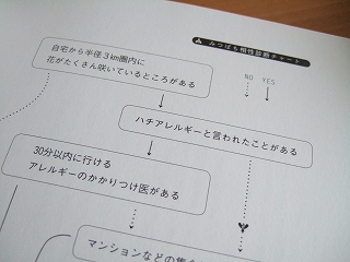 e-2008_0710hatake0016.jpg