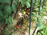 e-2008_0717shouhin0133.jpg