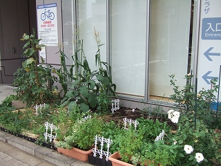e-2008_0729nattou0027.jpg