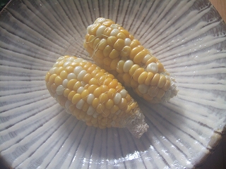 e-2008_0802abura0018.jpg