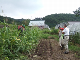 e-2008_0823katashina0012.jpg