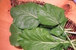 e-2008_1004asaichi0009.jpg