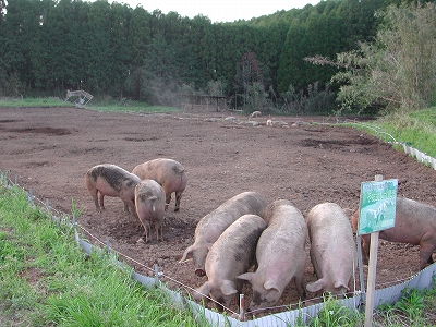 e-DSCN1114.jpg