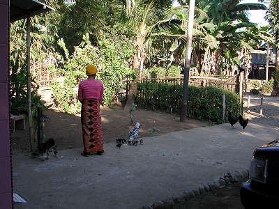 e-DSCN7717.jpg