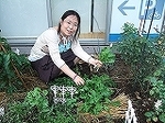 e-e-2008_0812hatake0008.jpg