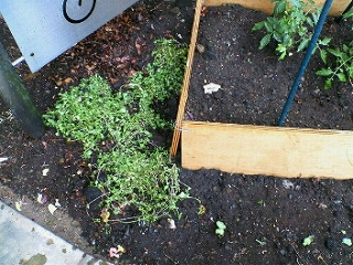 ee-200805131027000.jpg