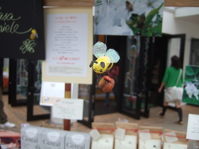 ee-2008_0504kashiwa20109.jpg