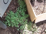 ee-2008_0515noclub0009.jpg