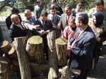 iraqushiitake.jpg