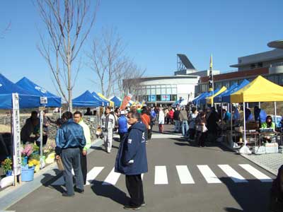kamogawaasaichis.jpg